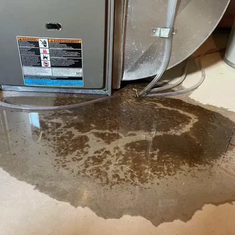 Appliance Leak Cleanup in South Sanford, ME